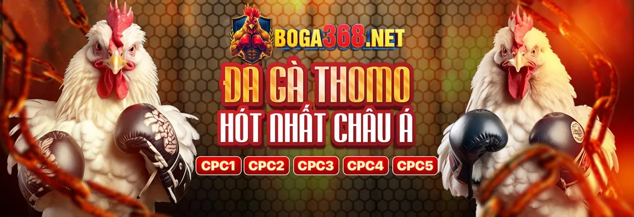 Sân vận động lớn với logo 8us nổi bật, không khí cá cược thể thao sôi động